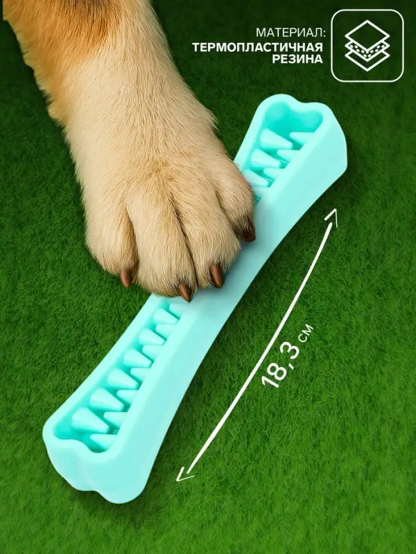 Игрушка-зубочистка для собак Пижон Premium &laquo;Зубастик&raquo;, 18.3&times;3.8 см, цвет мятный