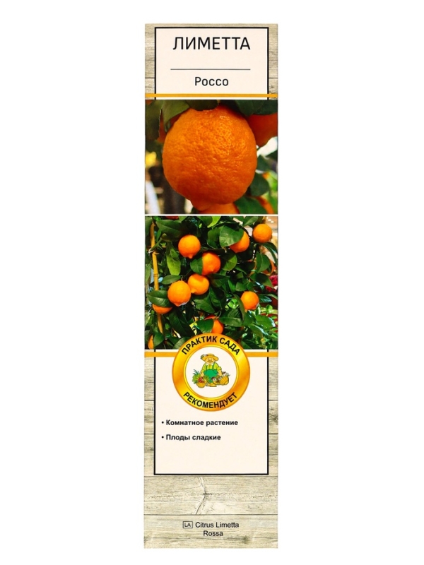 Цитрус Цитрус "Лиметта Россо", туба, 1 шт, Весна 2025