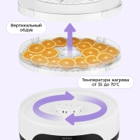 Сушилка для овощей и фруктов КТ-1953 - 380 Вт