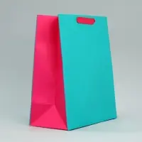 Пакет подарочный двухцветный, упаковка, &laquo;Розовый-голубой&raquo;, ML 23&times;27&times;11.5 см