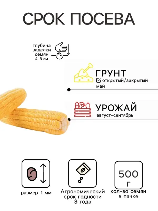 Семена Кукуруза сахарная «Тройная сладость», 500 г, «Сембат» Семена Кукуруза сахарная «Тройная сладость», 500 г, «Сембат»