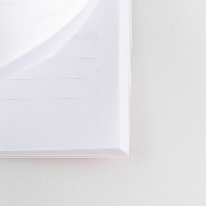 Ежедневник в мягкой обложке &laquo;Воспитателю: Любимый воспитатель&raquo; формат А5, 80 листов