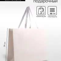 Пакет подарочный ламинированный горизонтальный &laquo;Белый&raquo;, 48&times;39&times;16 см