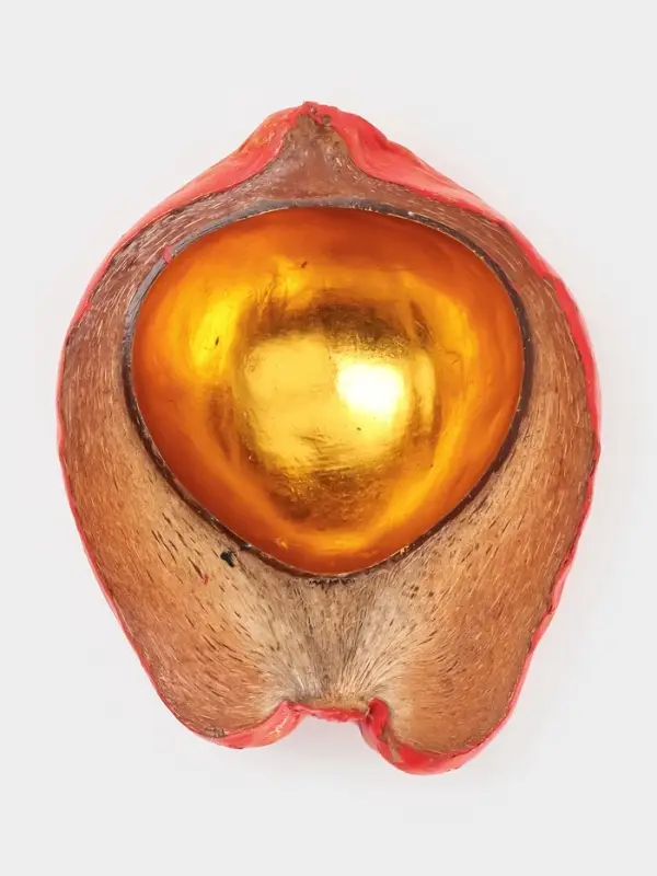 Чаша из кокоса, 24&times;22&times;10 см, красно-золотая