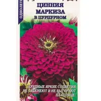 Семена Цинния Маркиза в Пурпурном /Сотка/ 0,2г/ h-90см, d-14см/*1200 Семена Цинния Маркиза в Пурпурном /Сотка/ 0,2г/ h-90см, d-14см/*1200