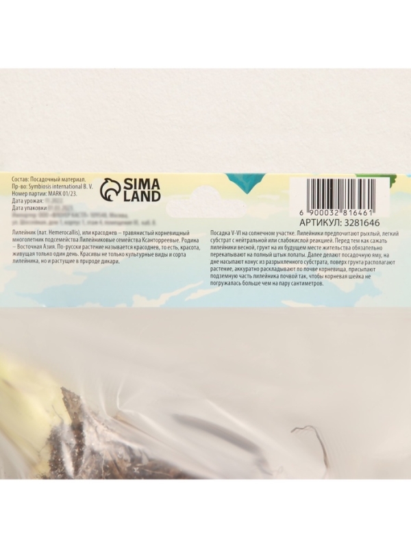 Флокс метельчатый «Аметист», корневище в пакете с торфогрунтом, р-р I, 2 шт.