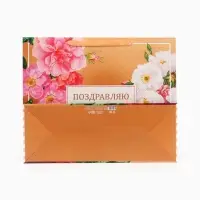Пакет подарочный горизонтальный &laquo;Поздравляю от всей души&raquo;, 49&times;40&times;19 см