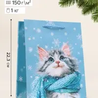 Пакет подарочный &laquo;Котик и снежинки&raquo;, 18&times;10&times;22.3 см