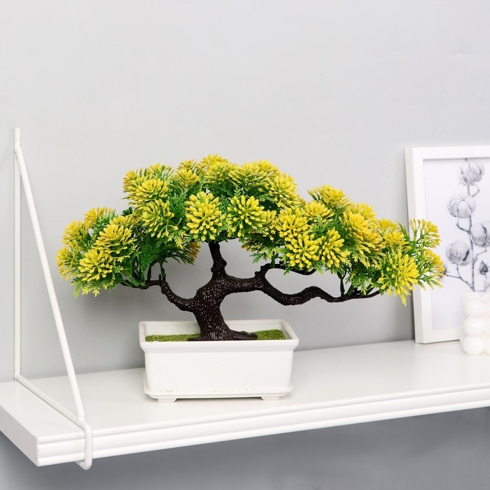 Бонсай Бонсай "Звёздник" 16х22 см, микс