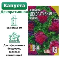 Семена цветов Капуста Декоративная, смесь, 40 шт