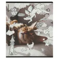 Тетрадь 48 листов в клетку ErichKrause Dream Cat, 60 г/м&sup2;, обложка мелованный картон, МИКС