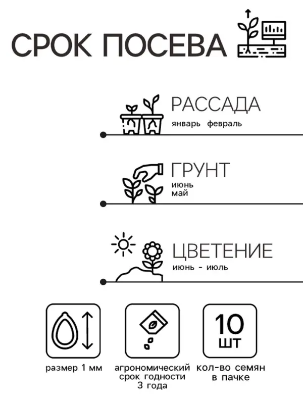 Семена комнатных цветов Бегония &laquo;Бада Бинг Роуз&raquo;, 10 шт., однолетник, &laquo;Агроуспех&raquo;