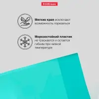 Набор обложек ПП 10 шт, 212 х 347 мм, 100 мкм, ErichKrause "Fizzy Pastel Mint", для тетрадей и дневников, фиксированная, с тиснением, МИКС