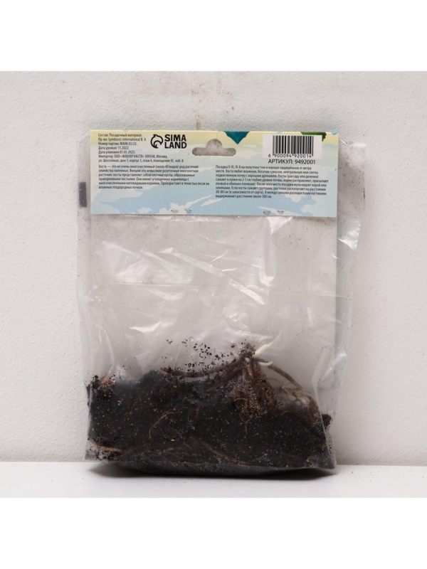 Хоста Undulata Univittata, корневище в пакете с торфогрунтом, р-р I, размер M,1 шт.