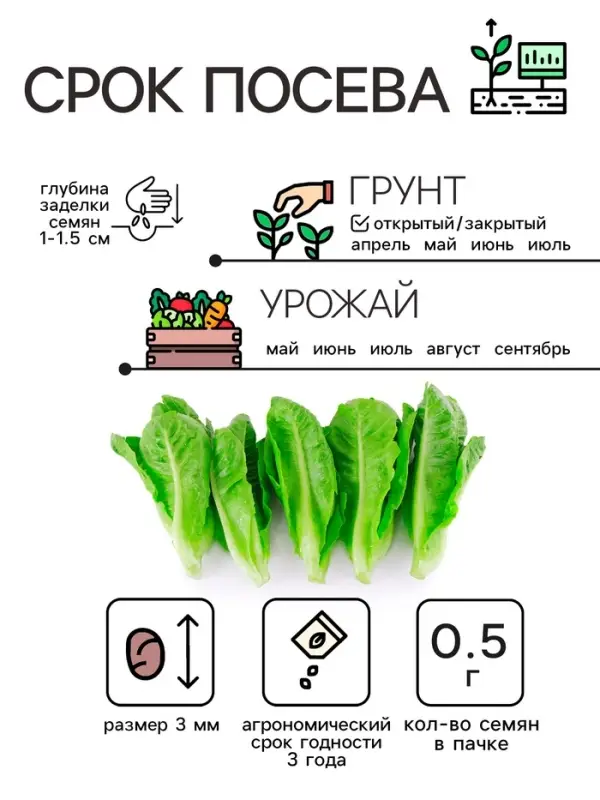 Семена Салат листовой  Семена Салат листовой "Московский парниковый", 0,5 г