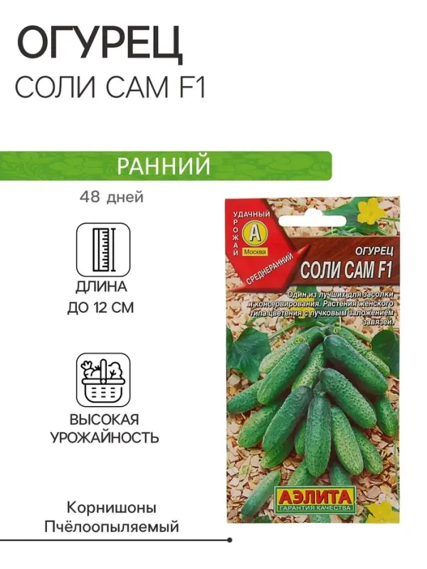 Семена Огурец Семена Огурец "Соли сам F1", 10 шт