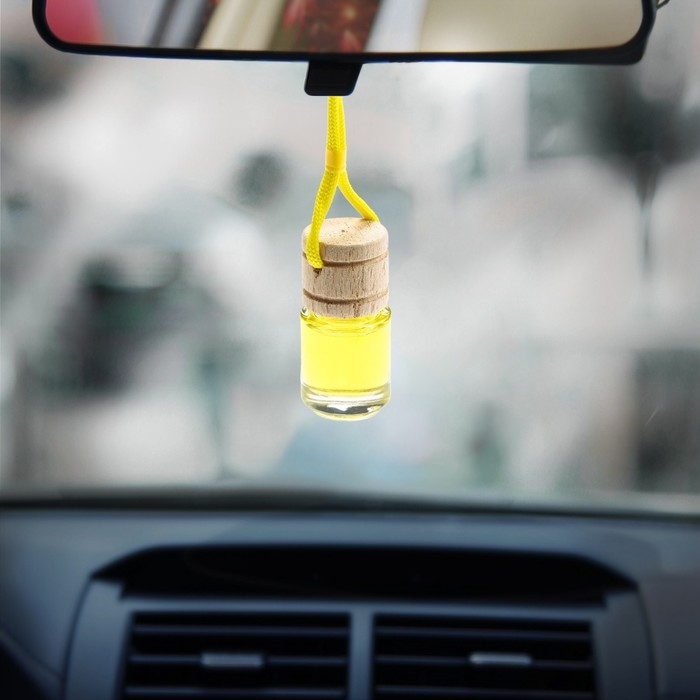 Ароматизатор в автомобиль на 23 Февраля «Самолёт», аромат: цитрус Ароматизатор в автомобиль на 23 Февраля «Самолёт», аромат: цитрус