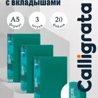 Набор папок А5, 20 вкладышей, Calligrata, карман на корешке, зеленые, 3 штуки
