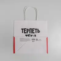 Пакет подарочный, упаковка, &laquo;Терпеть тебя не могу&raquo;, 22&times;22&times;11 см