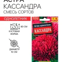 Семена Астра Кассандра  Ор. А Одн Ц/П 0,2г