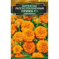 Семена цветов Бархатцы Прима оранжевые F1 отклоненные Золотая серия, Ц/П,10 шт. Семена цветов Бархатцы Прима оранжевые F1 отклоненные Золотая серия, Ц/П,10 шт.
