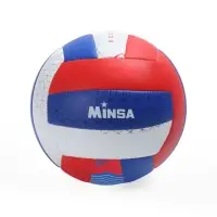 Волейбольный мяч MINSA &laquo;РОССИЯ&raquo;, машинная сшивка, 18 панелей, р. 5, PVC
