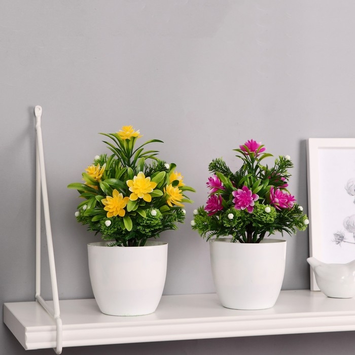 Бонсай в горшке Бонсай в горшке "Праздничный цветник" 9х21 см, микс