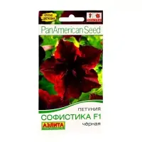 Набор семян Петуния Софистика черная F1 крупноцветковая, 4 шт., 2 шт. Набор семян Петуния Софистика черная F1 крупноцветковая, 4 шт., 2 шт.