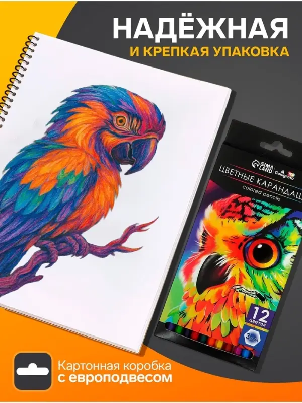 Карандаши цветные, 12 цветов, Calligrata TOP, шестигранные, пластиковые