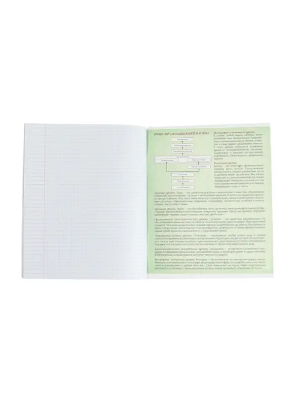 Тетрадь предметная 48 листов в клетку Calligrata, &laquo;Футбол. Биология&raquo;, обложка мелованный картон