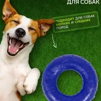 Жевательная игрушка для собак &laquo;Кольцо&raquo;, 6.7&times;2 см, прозрачная, PP, синяя