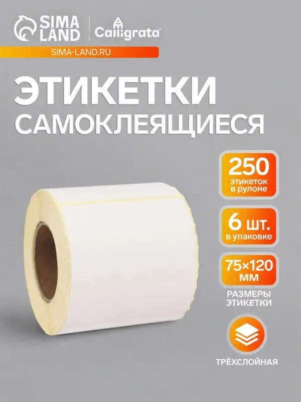 Термоэтикетка 75&times;120 мм, набор 6 шт, диаметр втулки=40 мм, 250 этикеток ТОП