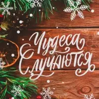 Пакет бумажный подарочный новогодний крафт «Чудеса» 15×21×8 см