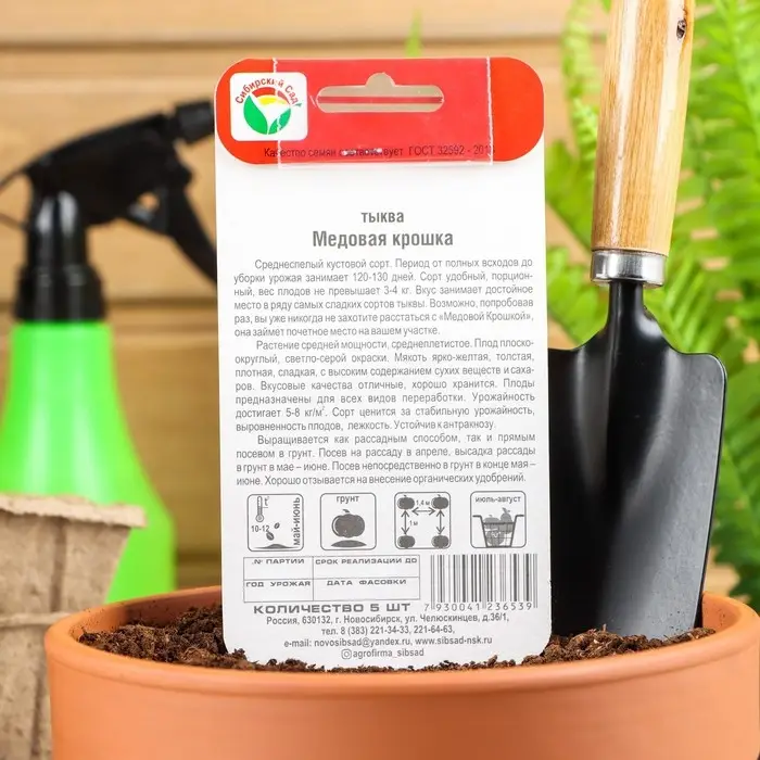 Семена Тыква "Медовая крошка", 5 шт Семена Тыква "Медовая крошка", 5 шт