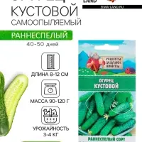 Семена Огурец "Кустовой", 0,5 г