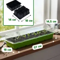 Мини - парник для рассады, 57&times;18&times;12 см, 3 вставки, 18 ячеек по 125 мл, пластик, Greengo