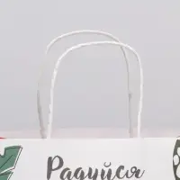 Пакет подарочный, упаковка, &laquo;Радуйся&raquo;, 22&times;22&times;11 см