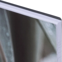 Бизнес-тетрадь, BS, А5, 80л., клетка, спираль. Botanica, агава N4185