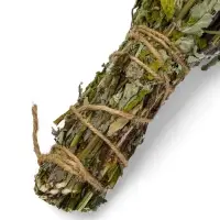 Веник для бани, мята, 45 (&plusmn; 5 см), &laquo;Добропаровъ&raquo;