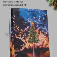 Пакет подарочный &laquo;Чудеса рядом&raquo;, 33&times;10&times;42.5 см