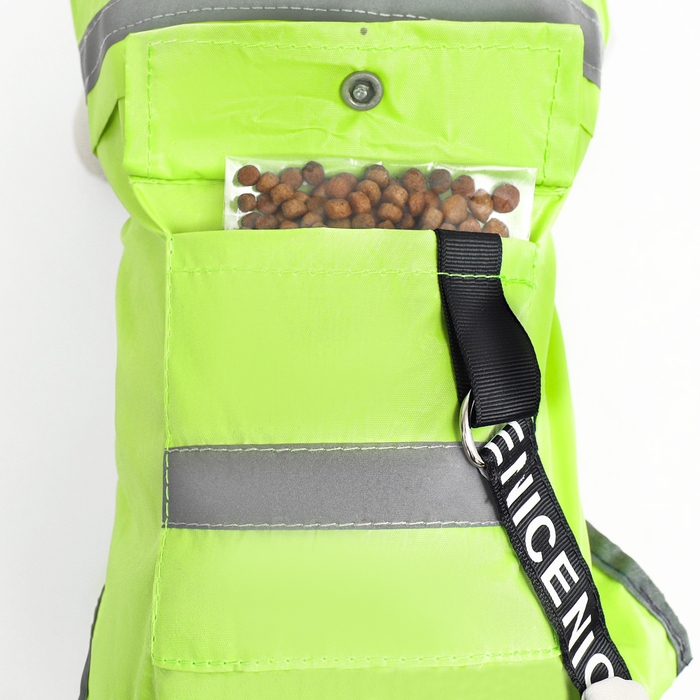 Комбинезон для собак, демисезонный с козырьком, размер S (ДС 28, Ог 41, ОШ 31 см), зелёный Комбинезон для собак, демисезонный с козырьком, размер S (ДС 28, Ог 41, ОШ 31 см), зелёный