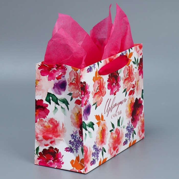 Пакет подарочный ламинированный с тишью, упаковка, «Счастье», MS 23 х 18 х 10 см