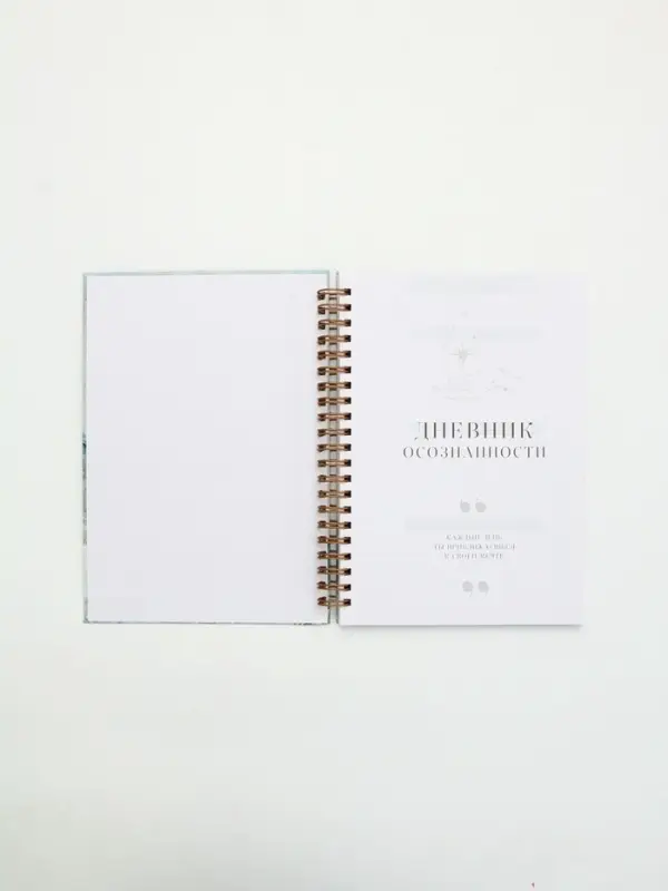 Дневник осознанности в тв. обл. А5, 86 л Дневник осознанности в тв. обл. А5, 86 л "Ты можешь всё"