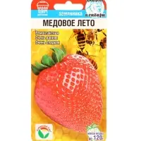 Семена Земляника ремонтантная &laquo;Медовое лето&raquo;, 5 шт., ранняя, &laquo;Сибирский сад&raquo;