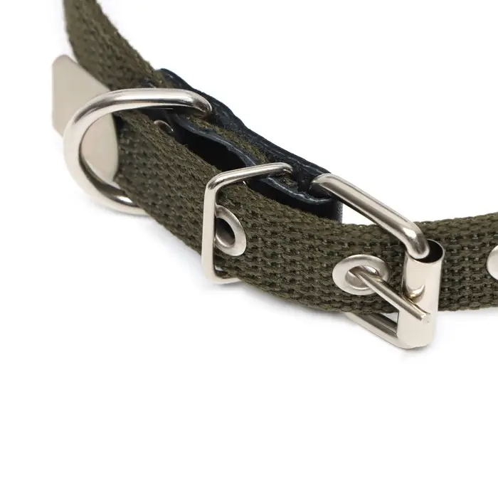 Ошейник брезентовый однослойный, 50&times;2 см, ОШ 25-35 см, хаки