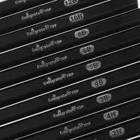 Набор карандашей чернографитных, 11 штук (14 В, 12 В, 10 В, 8 В, 6 В, 5 В, 4 В, 3 В, Н, 2Н, 4Н)