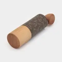 Кофемолка механическая Доляна &laquo;Робуста&raquo;, 21&times;5.5 см, пластик, светлое дерево