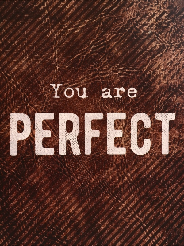 Пакет подарочный вертикальный "YOU are PERFECT", 26 × 32 × 12 см