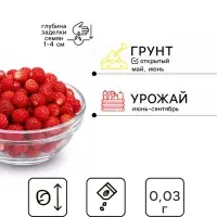 Семена Земляника &laquo;Вайс Солемахер&raquo;, белая, 0.03 г, &laquo;Аэлита&raquo;