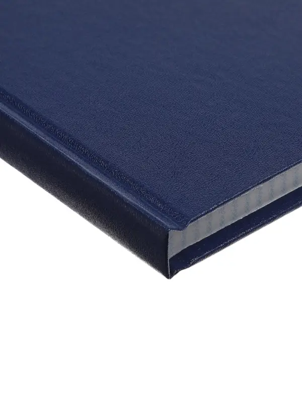 Книга учета А4 192л Бумвинил Офсет клетка, синий